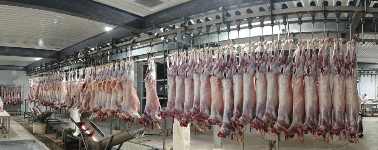 Buffalo Meat Exporter