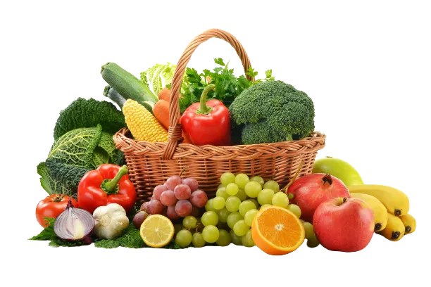 Fruits and Vegetables Exporters