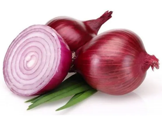 Exporter of fresh red onion from India