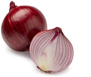 Red Onion Exporters in India