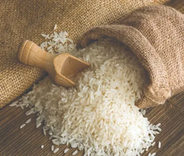 Rice Exporter from India