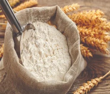Wheat Flour Maida Exporter from India